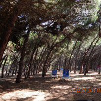 фото из отзыва ID 1015601