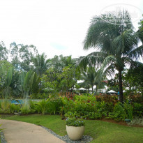 фото из отзыва ID 1016096