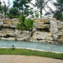 фото из отзыва ID 1016096