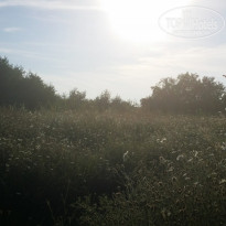 фото из отзыва ID 1016146