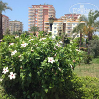 фото из отзыва ID 1016195