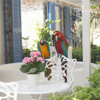 фото из отзыва ID 1016208