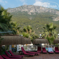 фото из отзыва ID 1016208