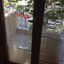 фото из отзыва ID 1016315