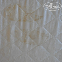 фото из отзыва ID 1012695