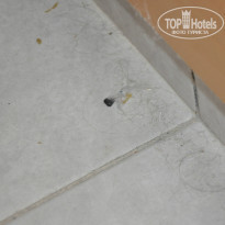 фото из отзыва ID 1012695