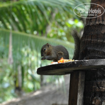 фото из отзыва ID 1016721