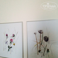 фото из отзыва ID 1016734