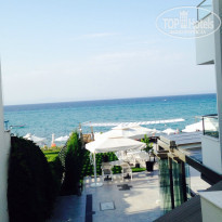 фото из отзыва ID 1016734