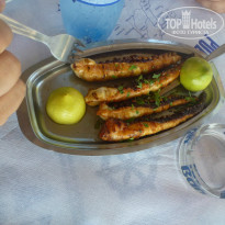 фото из отзыва ID 1016736