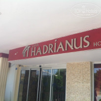 фото из отзыва ID 1017089