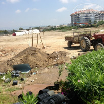 фото из отзыва ID 1017227