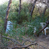 фото из отзыва ID 1017311