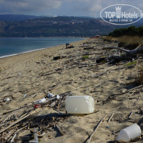 фото из отзыва ID 1017311