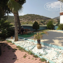 фото из отзыва ID 1017117