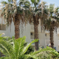 фото из отзыва ID 1017386