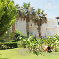 фото из отзыва ID 1017386