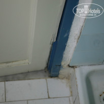 фото из отзыва ID 1017541