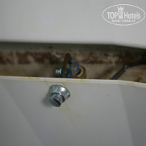 фото из отзыва ID 1017541