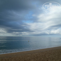 фото из отзыва ID 1015499