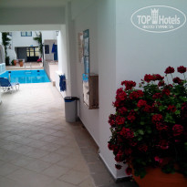 фото из отзыва ID 1017677