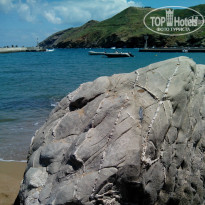 фото из отзыва ID 1017677