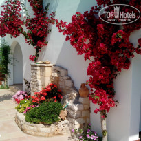 фото из отзыва ID 1017677