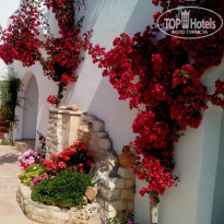 фото из отзыва ID 1017677