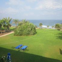 фото из отзыва ID 1017704