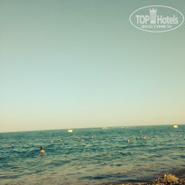 фото из отзыва ID 1017839