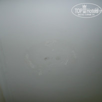 фото из отзыва ID 1017844