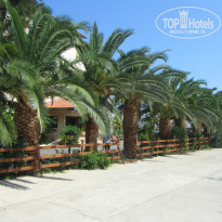 фото из отзыва ID 1017940