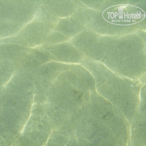 фото из отзыва ID 1017940