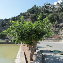 фото из отзыва ID 1018042