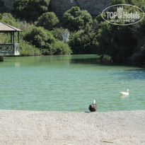 фото из отзыва ID 1018042