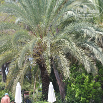 фото из отзыва ID 1018106