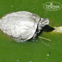 фото из отзыва ID 1018137