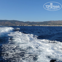 фото из отзыва ID 1018137