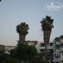 фото из отзыва ID 1018460