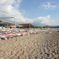 фото из отзыва ID 1018489