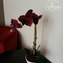 фото из отзыва ID 1018784