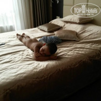 фото из отзыва ID 1018784