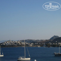 фото из отзыва ID 1019507