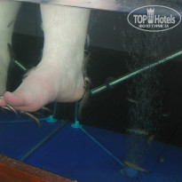 фото из отзыва ID 1017186