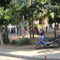 фото из отзыва ID 1017186