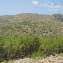 фото из отзыва ID 1017186