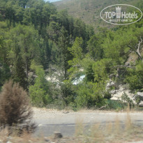 фото из отзыва ID 1017186