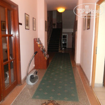 фото из отзыва ID 1019636