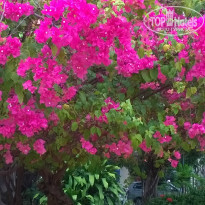 фото из отзыва ID 1019685