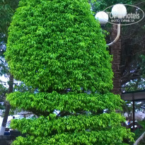 фото из отзыва ID 1019685